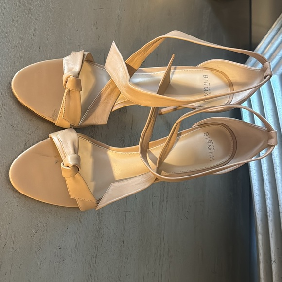 Alexandre Birman Clarita Nude Sz 40. Worn twice - Picture 3 of 8